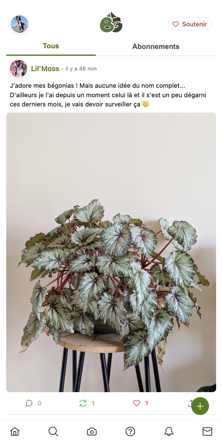 Interface du fil d'actualités