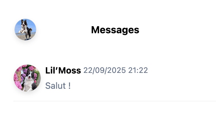 Interface des messages privés